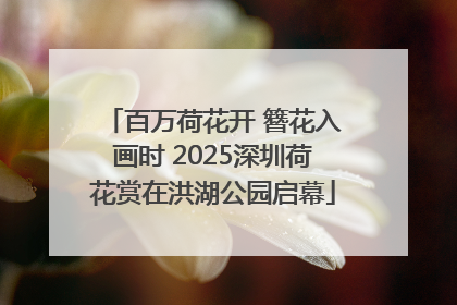 百万荷花开 簪花入画时 2025深圳荷花赏在洪湖公园启幕