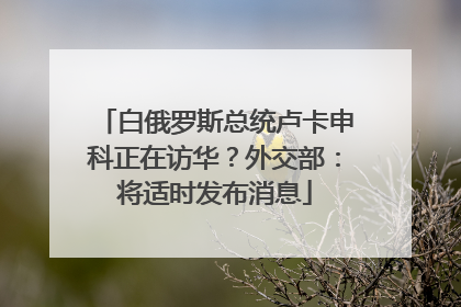 白俄罗斯总统卢卡申科正在访华？外交部：将适时发布消息