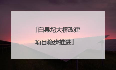 白果坨大桥改建项目稳步推进
