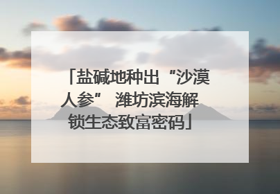 盐碱地种出“沙漠人参” 潍坊滨海解锁生态致富密码