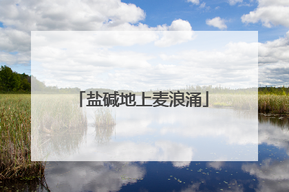 盐碱地上麦浪涌