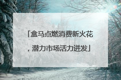 盒马点燃消费新火花，潜力市场活力迸发
