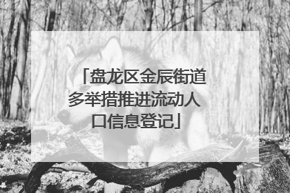盘龙区金辰街道多举措推进流动人口信息登记