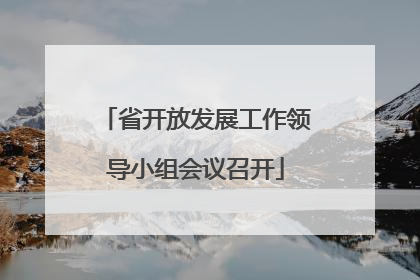 省开放发展工作领导小组会议召开