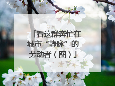 看这群奔忙在城市“静脉”的劳动者（图）