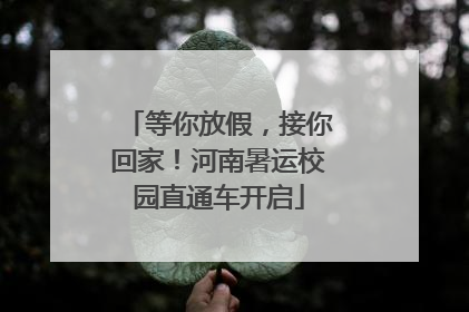 等你放假，接你回家！河南暑运校园直通车开启