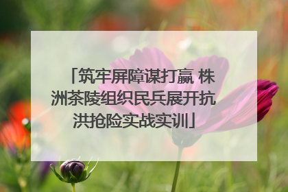 筑牢屏障谋打赢 株洲茶陵组织民兵展开抗洪抢险实战实训