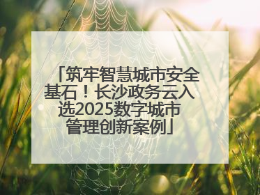 筑牢智慧城市安全基石！长沙政务云入选2025数字城市管理创新案例