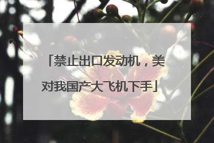 禁止出口发动机，美对我国产大飞机下手