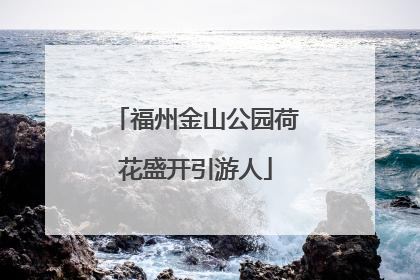 福州金山公园荷花盛开引游人