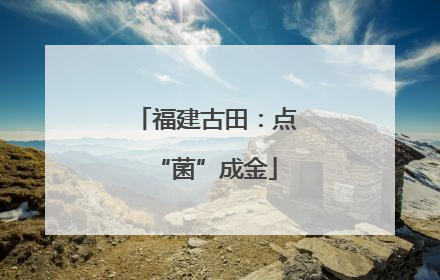 福建古田：点“菌”成金