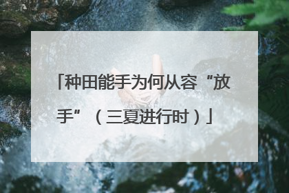 种田能手为何从容“放手”（三夏进行时）