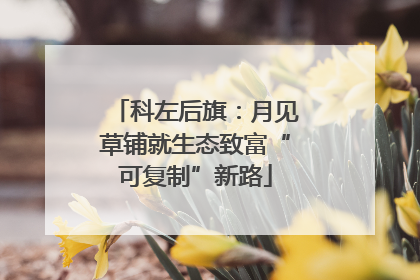 科左后旗：月见草铺就生态致富“可复制”新路