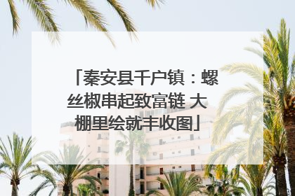 秦安县千户镇：螺丝椒串起致富链 大棚里绘就丰收图