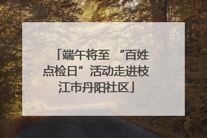 端午将至 “百姓点检日”活动走进枝江市丹阳社区