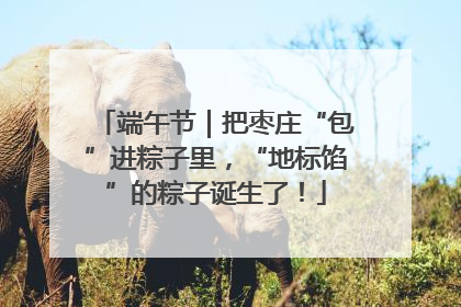 端午节｜把枣庄“包”进粽子里，“地标馅”的粽子诞生了！