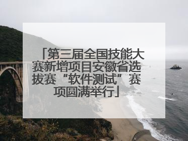 第三届全国技能大赛新增项目安徽省选拔赛“软件测试”赛项圆满举行