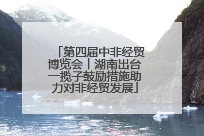 第四届中非经贸博览会丨湖南出台一揽子鼓励措施助力对非经贸发展
