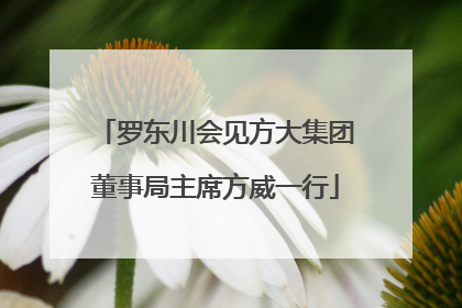 罗东川会见方大集团董事局主席方威一行