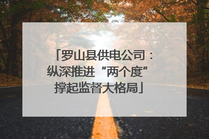 罗山县供电公司：纵深推进“两个度” 撑起监督大格局