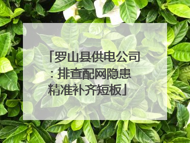 罗山县供电公司：排查配网隐患 精准补齐短板