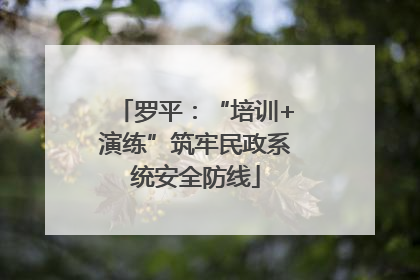 罗平：“培训+演练”筑牢民政系统安全防线