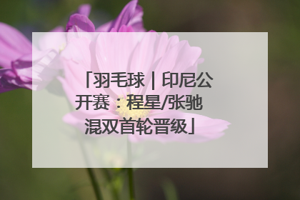 羽毛球｜印尼公开赛：程星/张驰混双首轮晋级