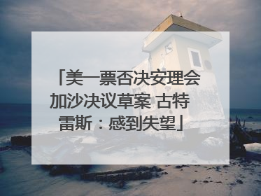 美一票否决安理会加沙决议草案 古特雷斯：感到失望