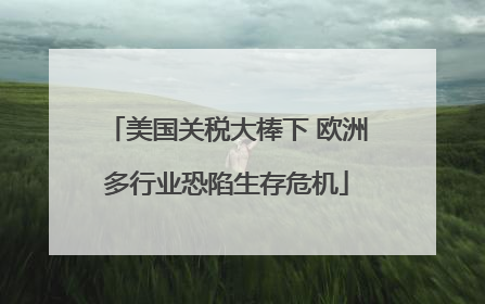 美国关税大棒下 欧洲多行业恐陷生存危机