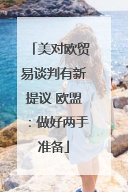 美对欧贸易谈判有新提议 欧盟：做好两手准备