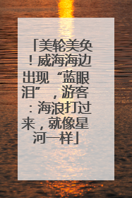 美轮美奂！威海海边出现“蓝眼泪”，游客：海浪打过来，就像星河一样