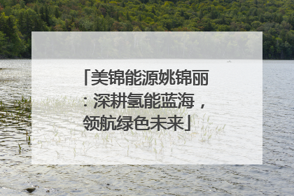 美锦能源姚锦丽：深耕氢能蓝海，领航绿色未来