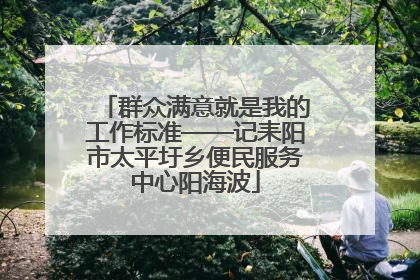 群众满意就是我的工作标准——记耒阳市太平圩乡便民服务中心阳海波