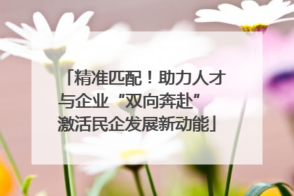 精准匹配！助力人才与企业“双向奔赴” 激活民企发展新动能