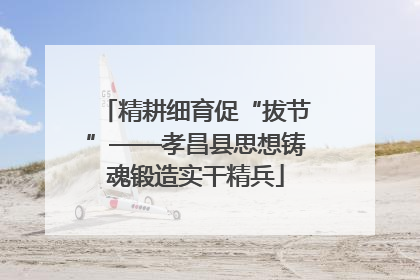 精耕细育促“拔节”——孝昌县思想铸魂锻造实干精兵