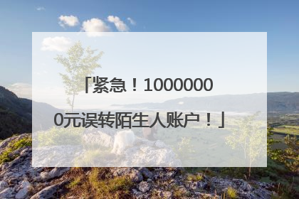 紧急！10000000元误转陌生人账户！