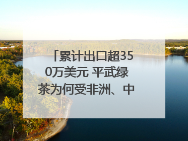 累计出口超350万美元 平武绿茶为何受非洲、中亚国家客户青睐？｜发布会观察