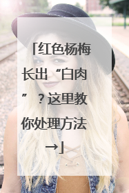 红色杨梅长出“白肉”？这里教你处理方法→