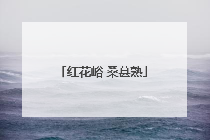 红花峪 桑葚熟