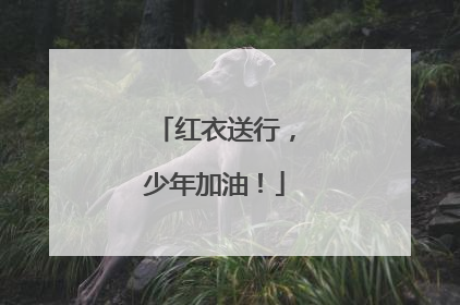 红衣送行，少年加油！