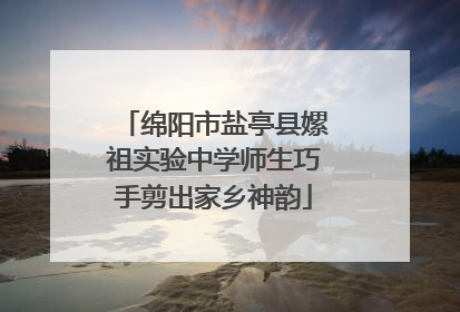 绵阳市盐亭县嫘祖实验中学师生巧手剪出家乡神韵