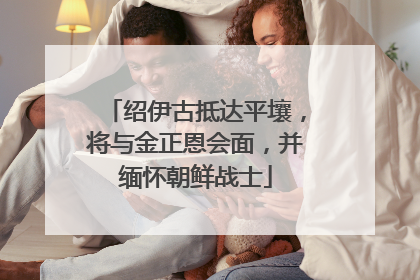 绍伊古抵达平壤，将与金正恩会面，并缅怀朝鲜战士