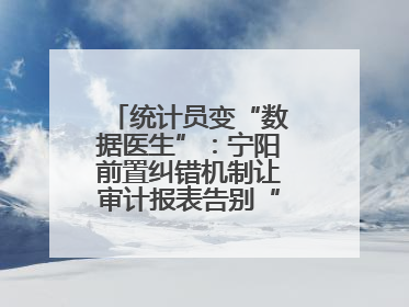 统计员变“数据医生”：宁阳前置纠错机制让审计报表告别“带病上岗”