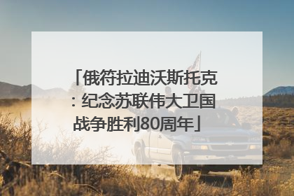 俄符拉迪沃斯托克：纪念苏联伟大卫国战争胜利80周年