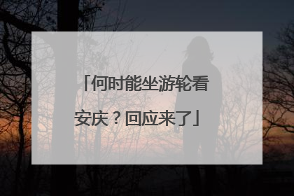 何时能坐游轮看安庆？回应来了