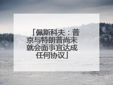 佩斯科夫：普京与特朗普尚未就会面事宜达成任何协议