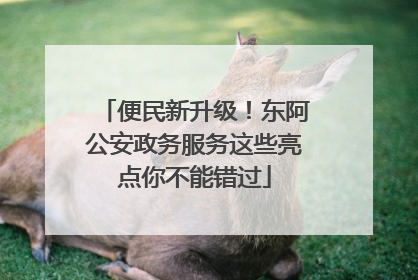 便民新升级！东阿公安政务服务这些亮点你不能错过