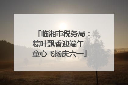 临湘市税务局：粽叶飘香迎端午 童心飞扬庆六一