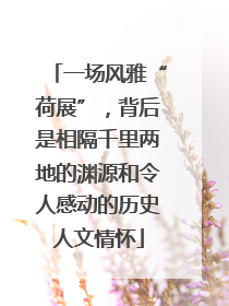 一场风雅“荷展”，背后是相隔千里两地的渊源和令人感动的历史人文情怀