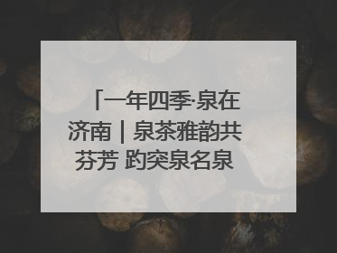 一年四季·泉在济南｜泉茶雅韵共芬芳 趵突泉名泉茗茶品鉴会举行